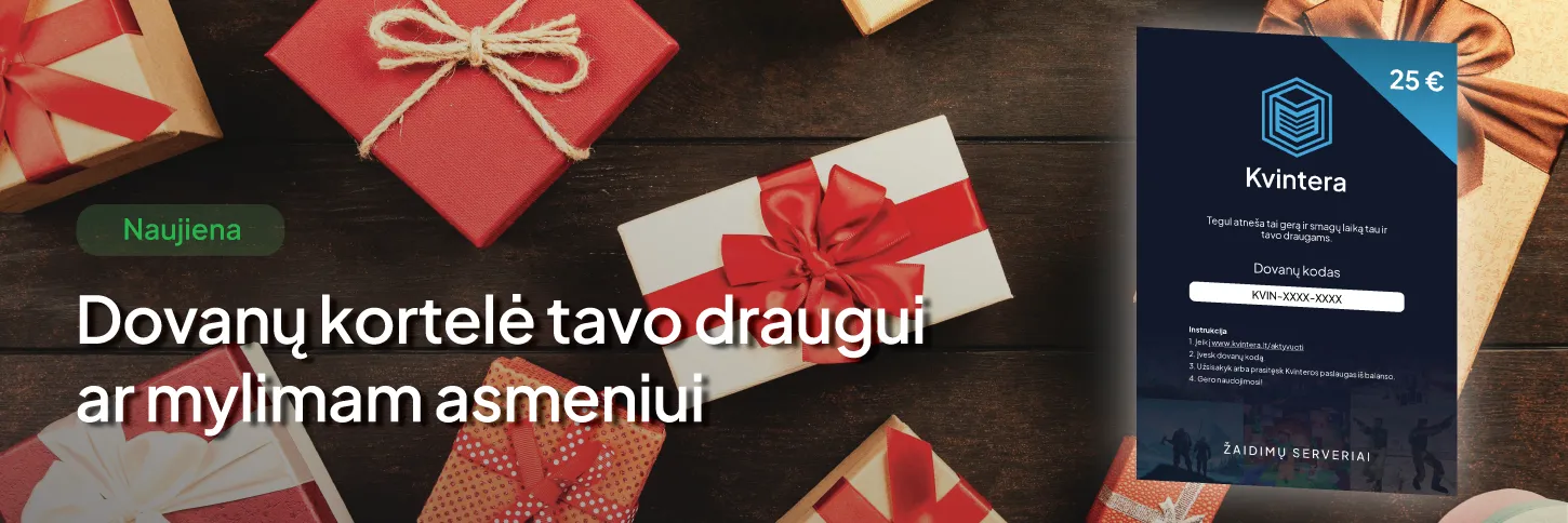 Iliustracija 1: Ką dovanoti geimeriui?